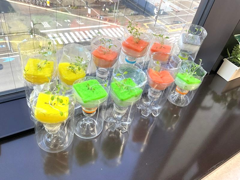 ウェルビーチャレンジ和歌山市駅前センター　水耕栽培